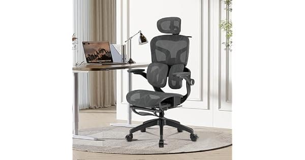 Cadeira de Escritrio Ergonmica Testada conforme NR17 Duplo Apoio Lombar Assento Deslizante com Ajuste de Profundidade 5cm Apoio para Ps Retrtil Reclinvel at 135 para Home Office Preto